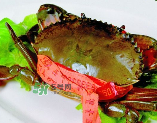 青蟹能放幾天？青蟹能活多久？