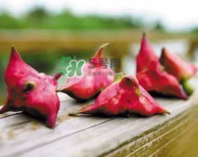 紅菱什么時(shí)候上市？什么時(shí)候采紅菱