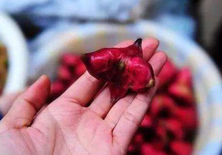 紅菱怎么吃？吃紅菱有什么好處？