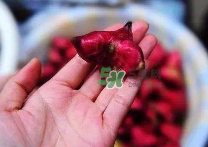 紅菱怎么吃？吃紅菱有什么好處？
