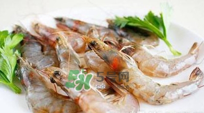 白蝦有寄生蟲嗎？如何選購新鮮的蝦