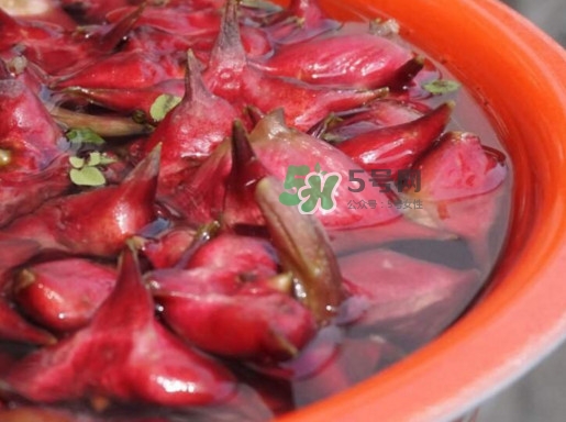 紅菱什么時(shí)候上市？什么時(shí)候采紅菱