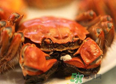 太湖蟹什么時(shí)候上市？太湖蟹幾月份有