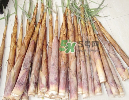 苦筍是什么竹子？苦筍是發(fā)物嗎