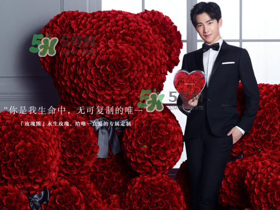 roseonly熊怎么樣？roseonly玫瑰熊好看嗎？