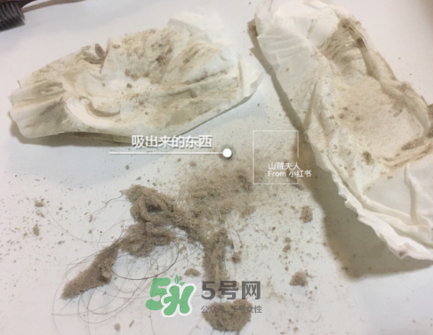 除螨儀真的能除螨嗎？除螨儀到底有沒有用？