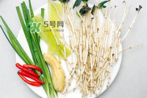 魚腥草用開水泡可以嗎？魚腥草用量多少克？