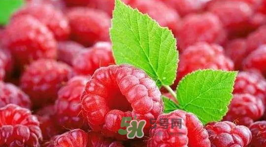 pola莓果酵素怎么吃？pola紅莓酵素怎么樣？