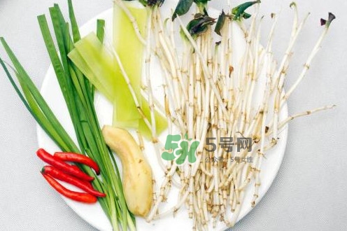 魚腥草什么季節(jié)有？魚腥草什么時(shí)候采摘最好