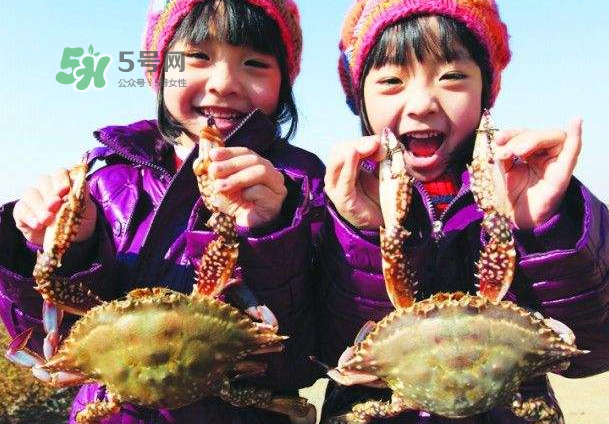 青島梭子蟹多少錢一斤？青島梭子蟹什么時(shí)候上市？