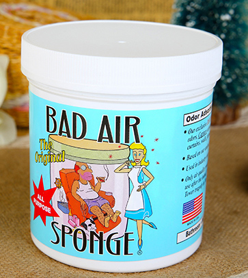 Bad Air Sponge有用嗎？Bad Air Sponge效果如何？