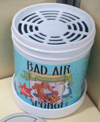 Bad Air Sponge有用嗎？Bad Air Sponge效果如何？