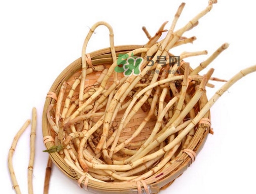 折耳根有毒嗎？折耳根有毒吃了會(huì)傷腎？