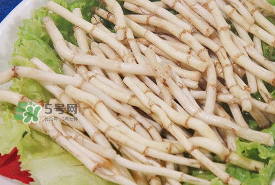 折耳根是什么？折耳根是哪里的特產？