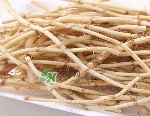 經(jīng)常吃折耳根有什么好處？折耳根的用法用量