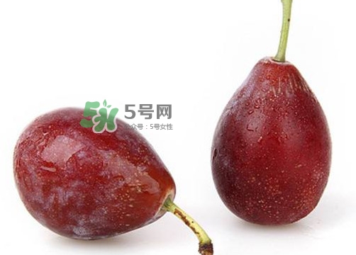 烏梅是西梅嗎？烏梅和西梅的區(qū)別