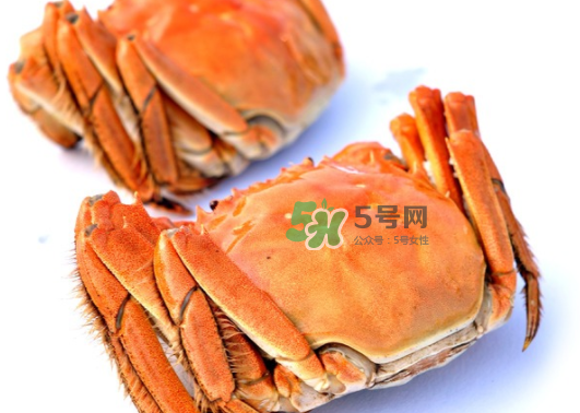 板蟹蒸多長(zhǎng)時(shí)間？板蟹蒸多久時(shí)間能熟？