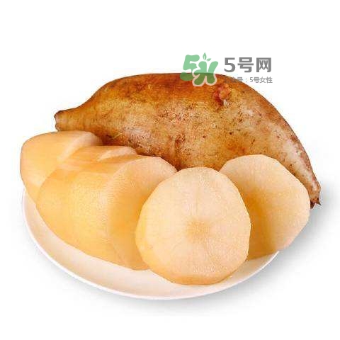 雪蓮果怎么挑？雪蓮果怎么儲(chǔ)存方法？