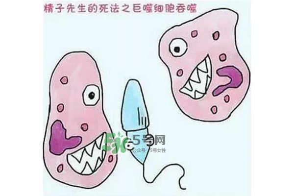 殺精的食物有哪些？吃什么東西殺精？