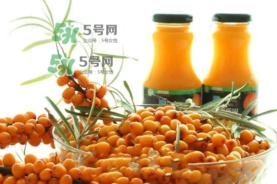 沙棘是什么？沙棘的功效與作用