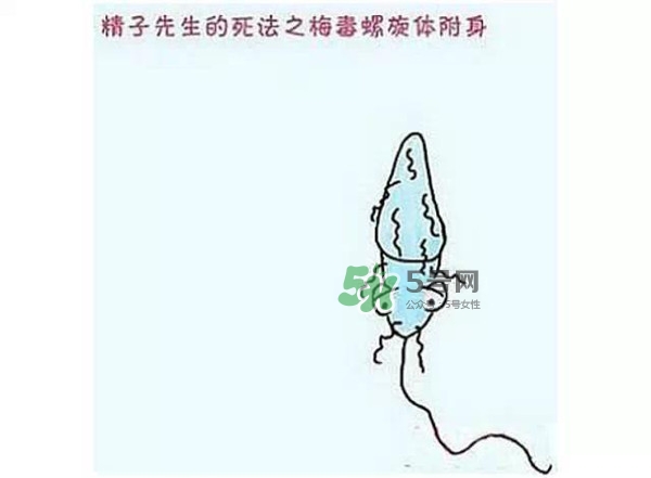 殺精的食物有哪些？吃什么東西殺精？