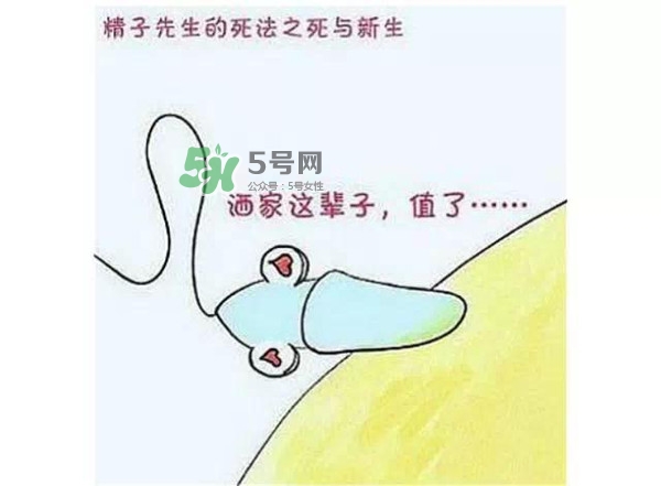 殺精的食物有哪些？吃什么東西殺精？