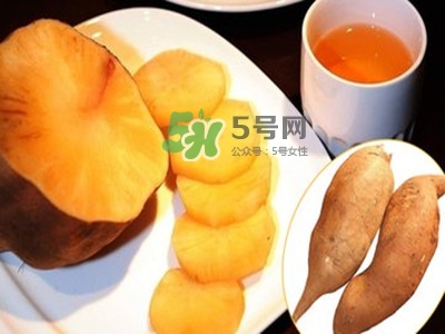 雪蓮果怎么挑？雪蓮果怎么儲(chǔ)存方法？