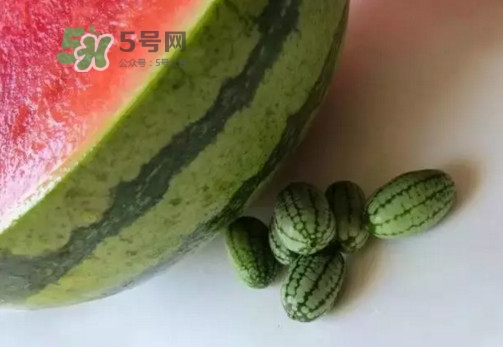 拇指西瓜什么時候上市？拇指西瓜什么時候成熟