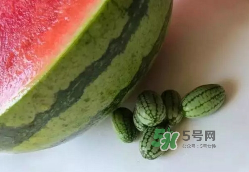 拇指西瓜多少錢一斤？拇指西瓜一口能吃幾個？