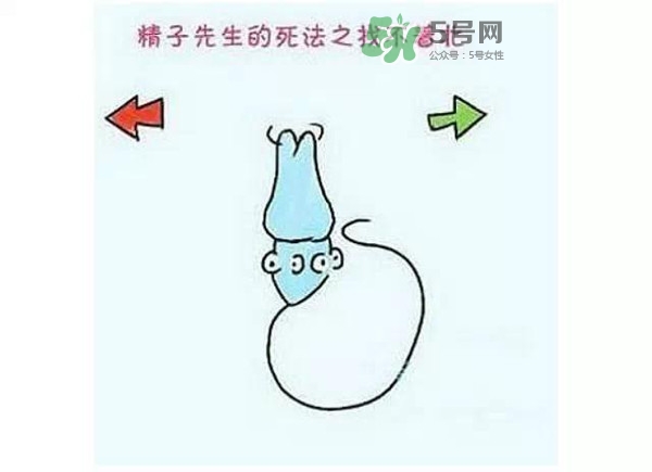 殺精的食物有哪些？吃什么東西殺精？