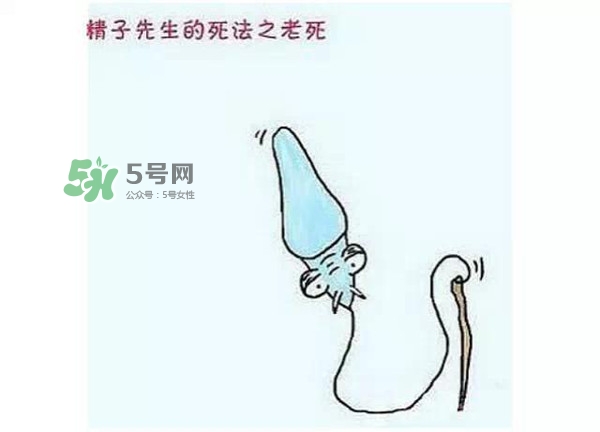 殺精的食物有哪些？吃什么東西殺精？