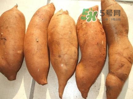 雪蓮果是水果嗎？雪蓮果是什么季節(jié)的水果？
