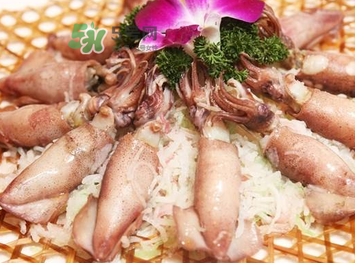 魷魚(yú)仔肚子里是什么？魷魚(yú)仔肚子里能吃嗎？
