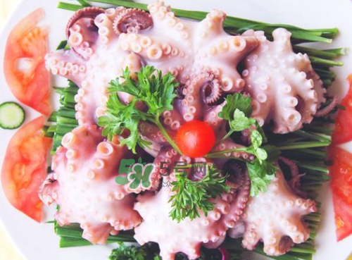 八爪魚什么地方不能吃？八爪魚哪里不能吃？