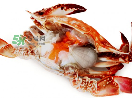 吃梭子蟹會胖嗎？梭子蟹吃了會胖嗎？ 