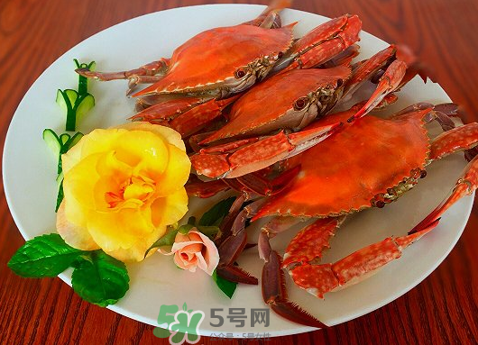 吃梭子蟹會胖嗎？梭子蟹吃了會胖嗎？ 