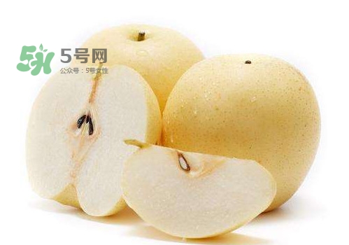 皇冠梨和雪花梨哪個(gè)好？雪花梨和皇冠梨的區(qū)別