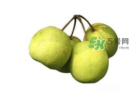 碭山梨好還是皇冠梨好？碭山梨和皇冠梨的區(qū)別