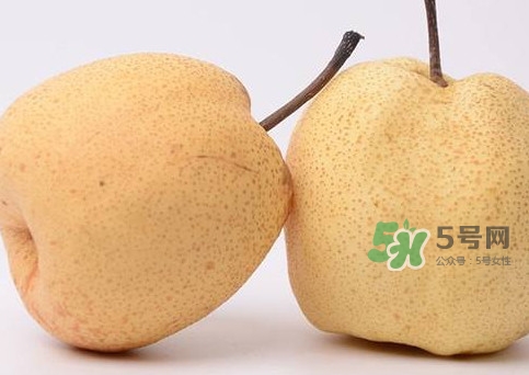 碭山梨什么時候成熟？碭山梨幾月份成熟