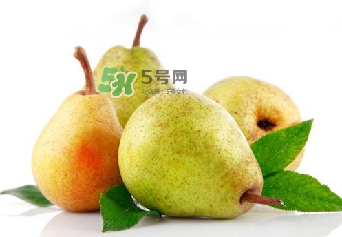 梨子是什么季節(jié)的水果？梨子什么季節(jié)吃最好