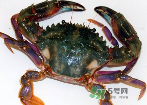 螃蟹腿藍(lán)色的是什么？螃蟹腿為什么是藍(lán)色？