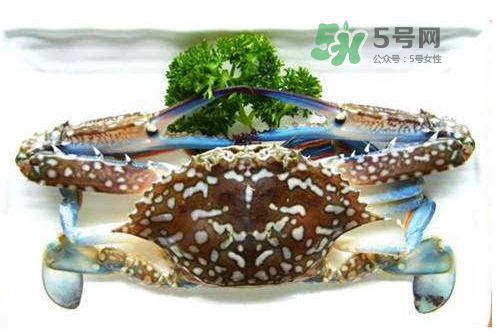 螃蟹腿藍(lán)色的是什么？螃蟹腿為什么是藍(lán)色？