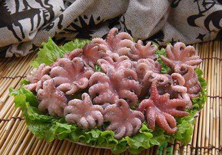 八爪魚煮多久才好？八爪魚需要煮多久？
