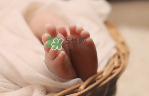 孕婦怎么吃燕窩最好？哪些孕媽需要吃燕窩？