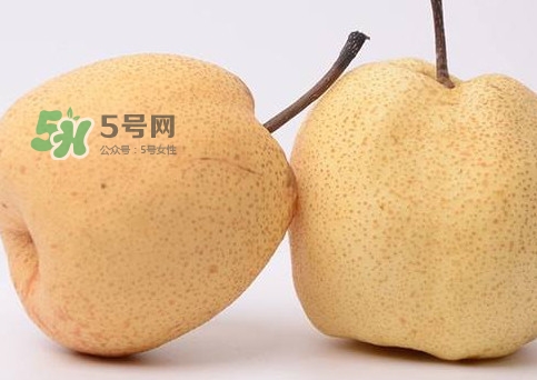 碭山梨好還是皇冠梨好？碭山梨和皇冠梨的區(qū)別