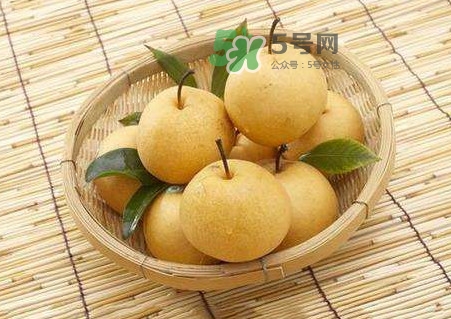 梨子怎么保存？梨子可以放冰箱嗎