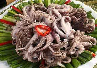 八爪魚可以冷凍嗎？八爪魚可以放冰箱嗎？