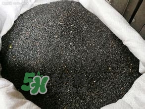 怎么看男人腎好不好？男人腎虛吃什么調(diào)理？
