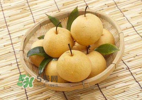 買梨子怎么挑選？梨子外面為什么要包張紙