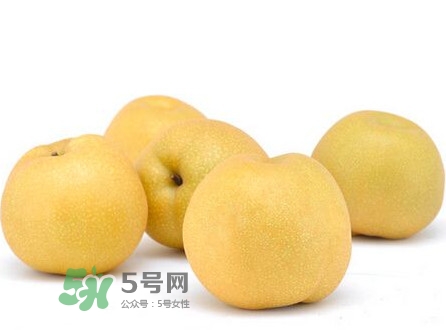 碭山梨什么時候成熟？碭山梨幾月份成熟